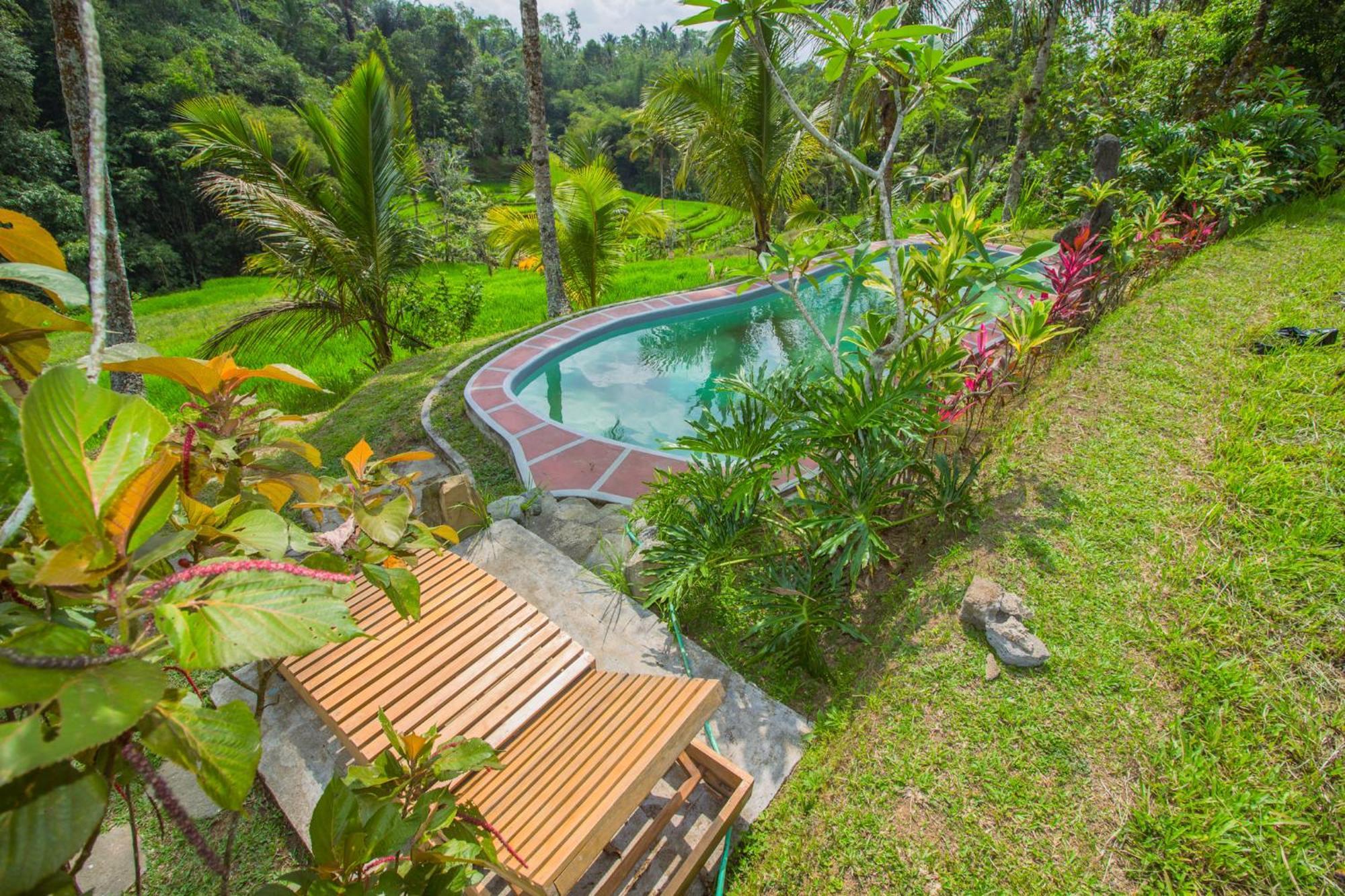 Pesona Bali Ecolodge By Agata Jatiluwih Esterno foto