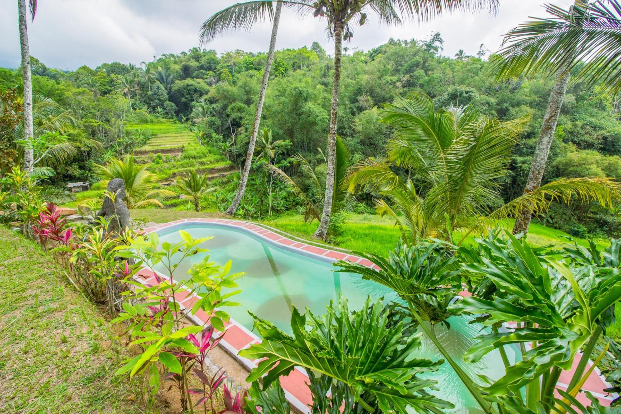 Pesona Bali Ecolodge By Agata Jatiluwih Esterno foto