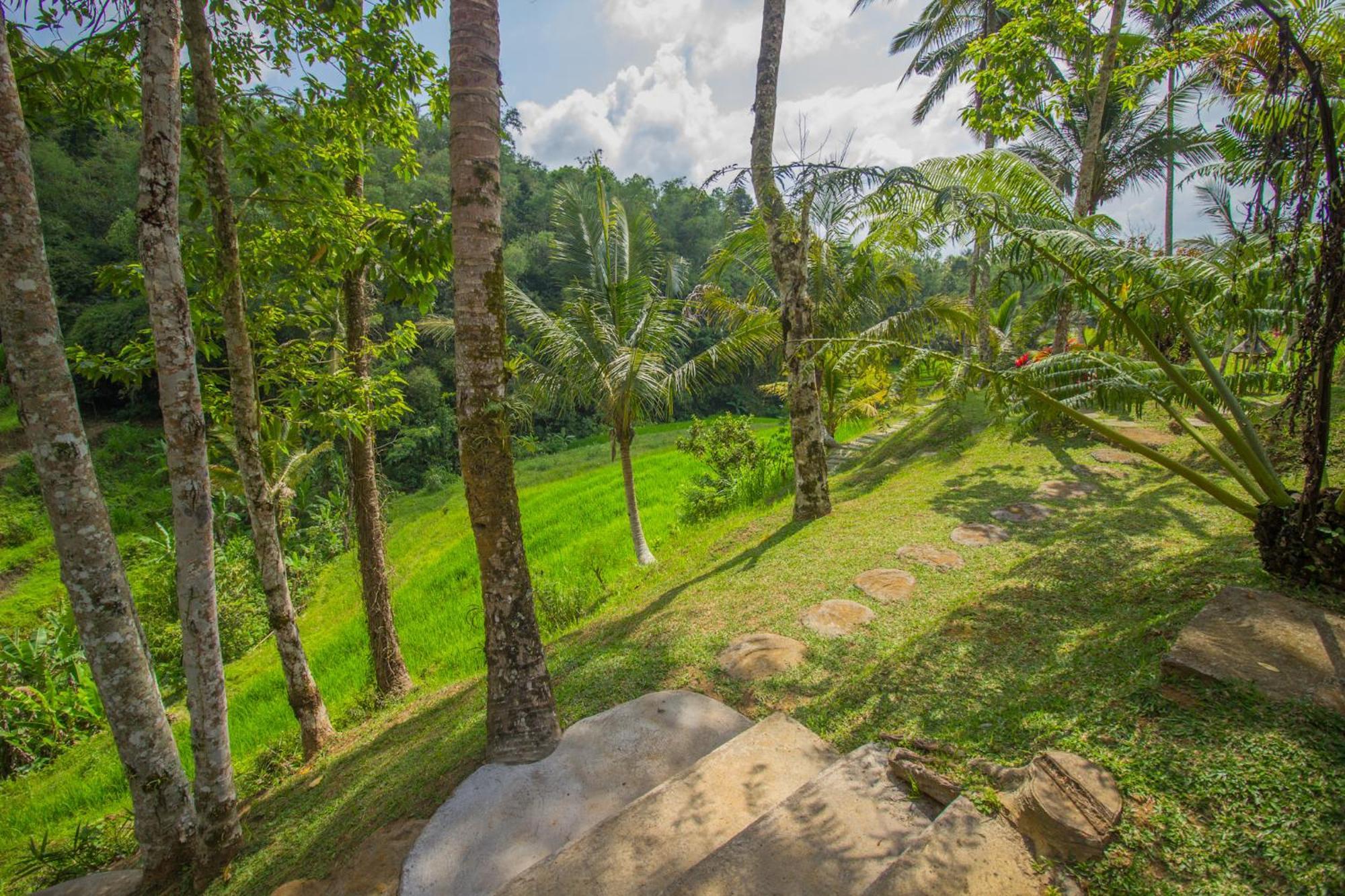Pesona Bali Ecolodge By Agata Jatiluwih Esterno foto