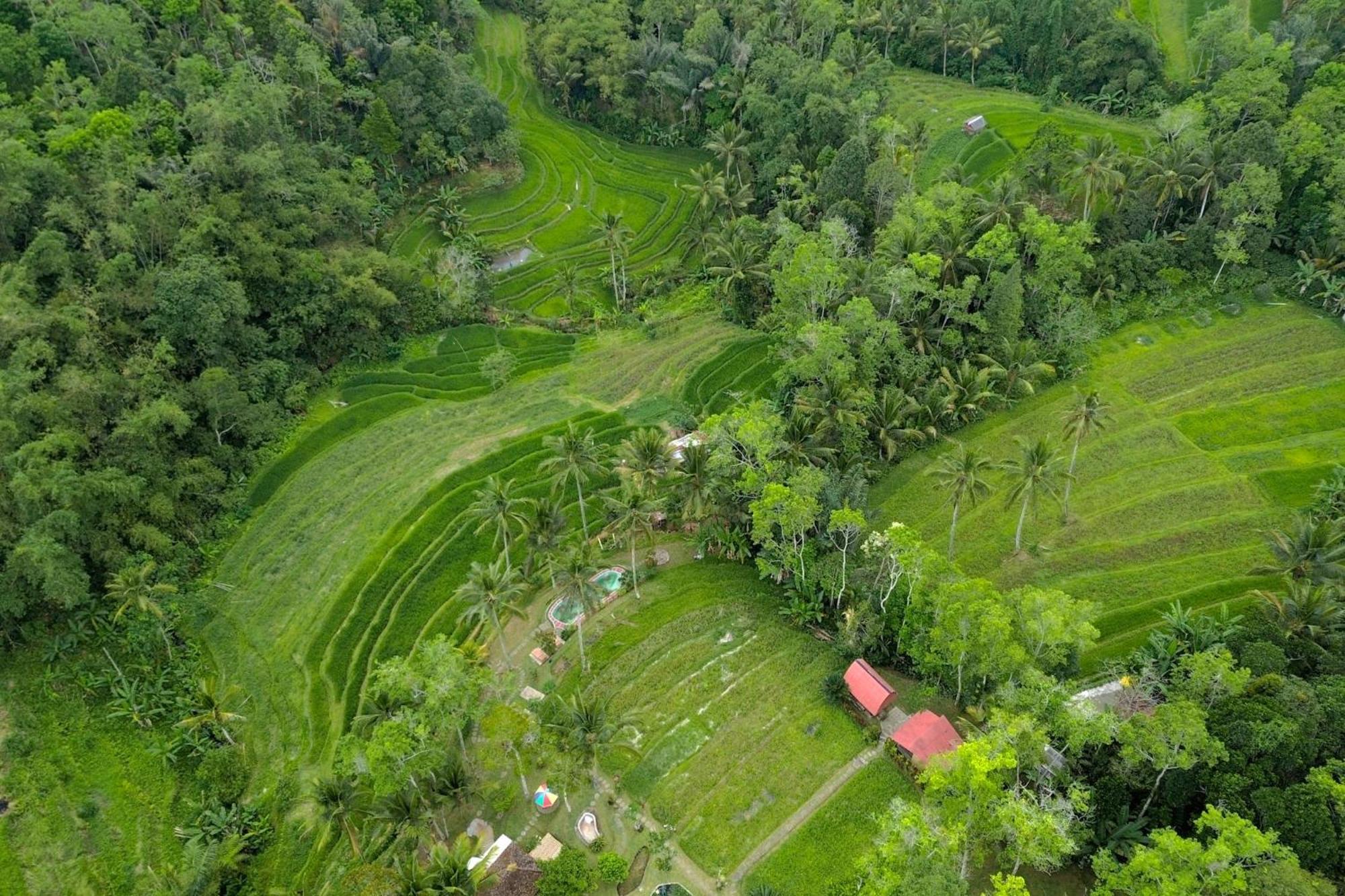 Pesona Bali Ecolodge By Agata Jatiluwih Esterno foto