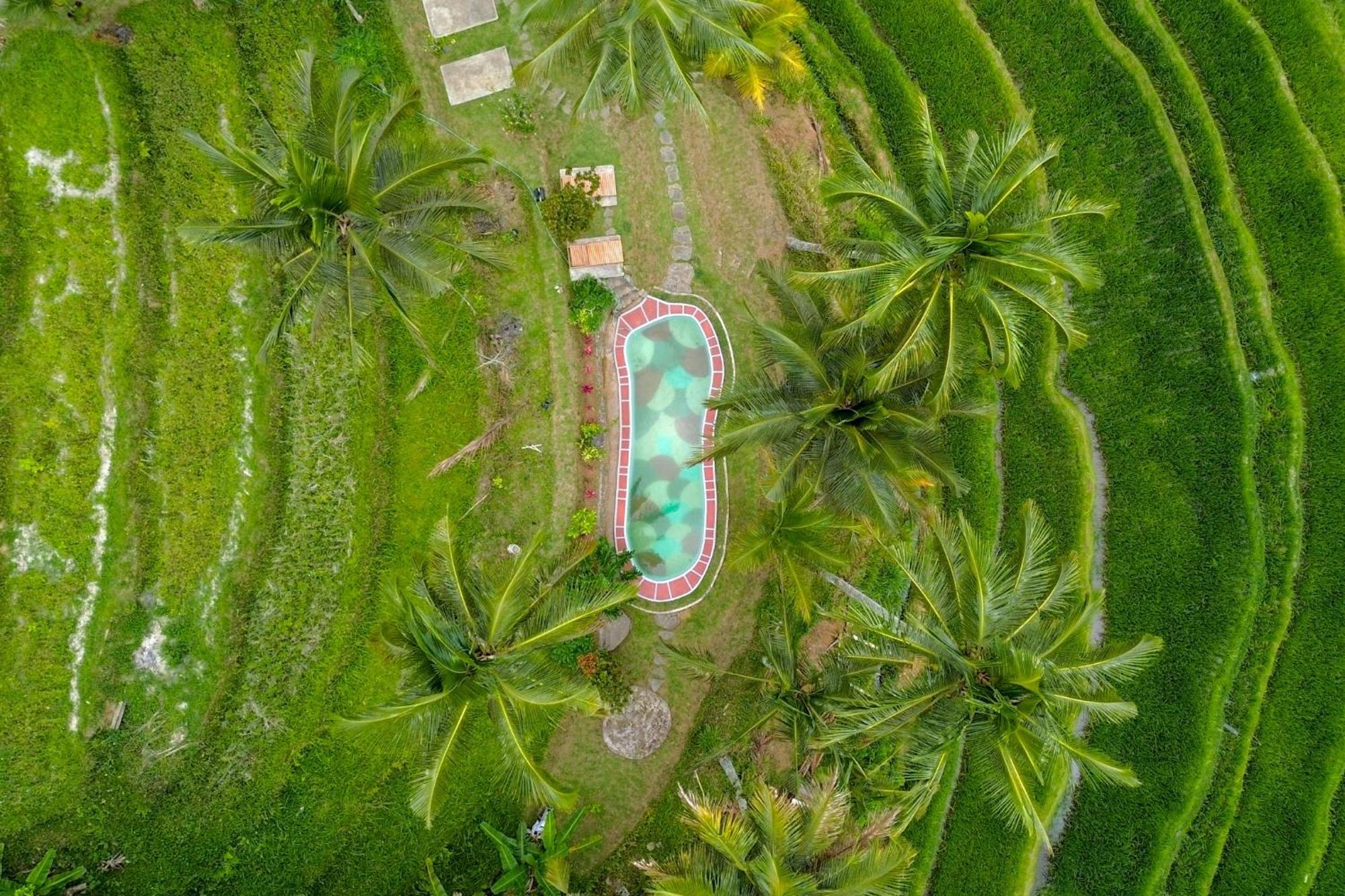 Pesona Bali Ecolodge By Agata Jatiluwih Esterno foto