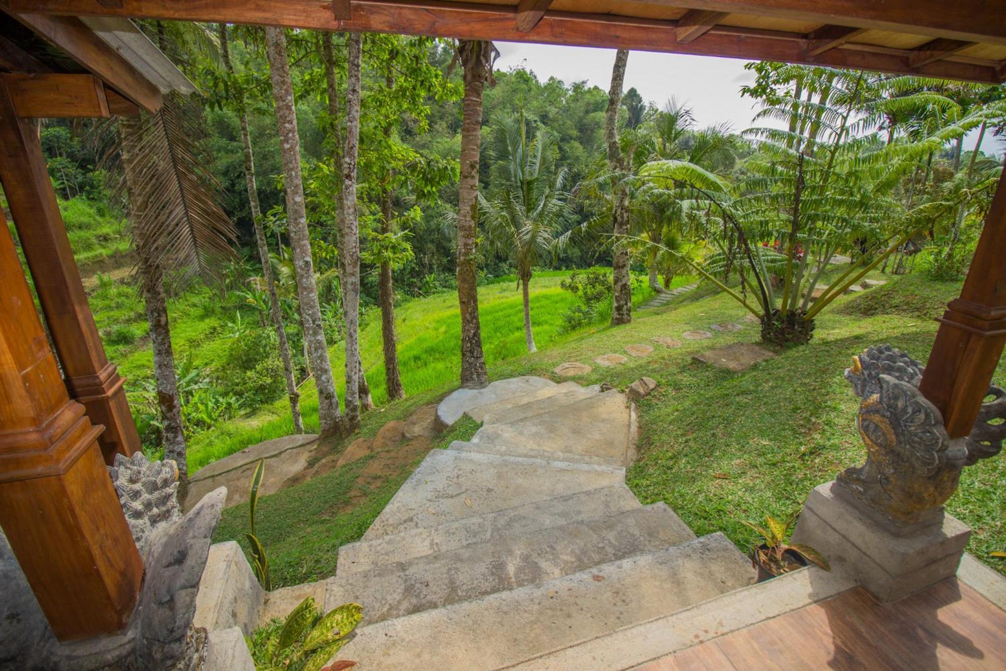 Pesona Bali Ecolodge By Agata Jatiluwih Esterno foto