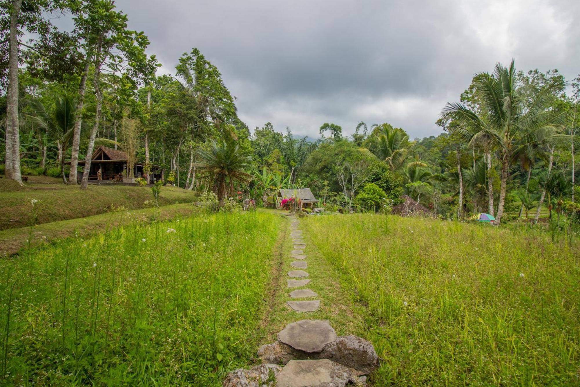 Pesona Bali Ecolodge By Agata Jatiluwih Esterno foto