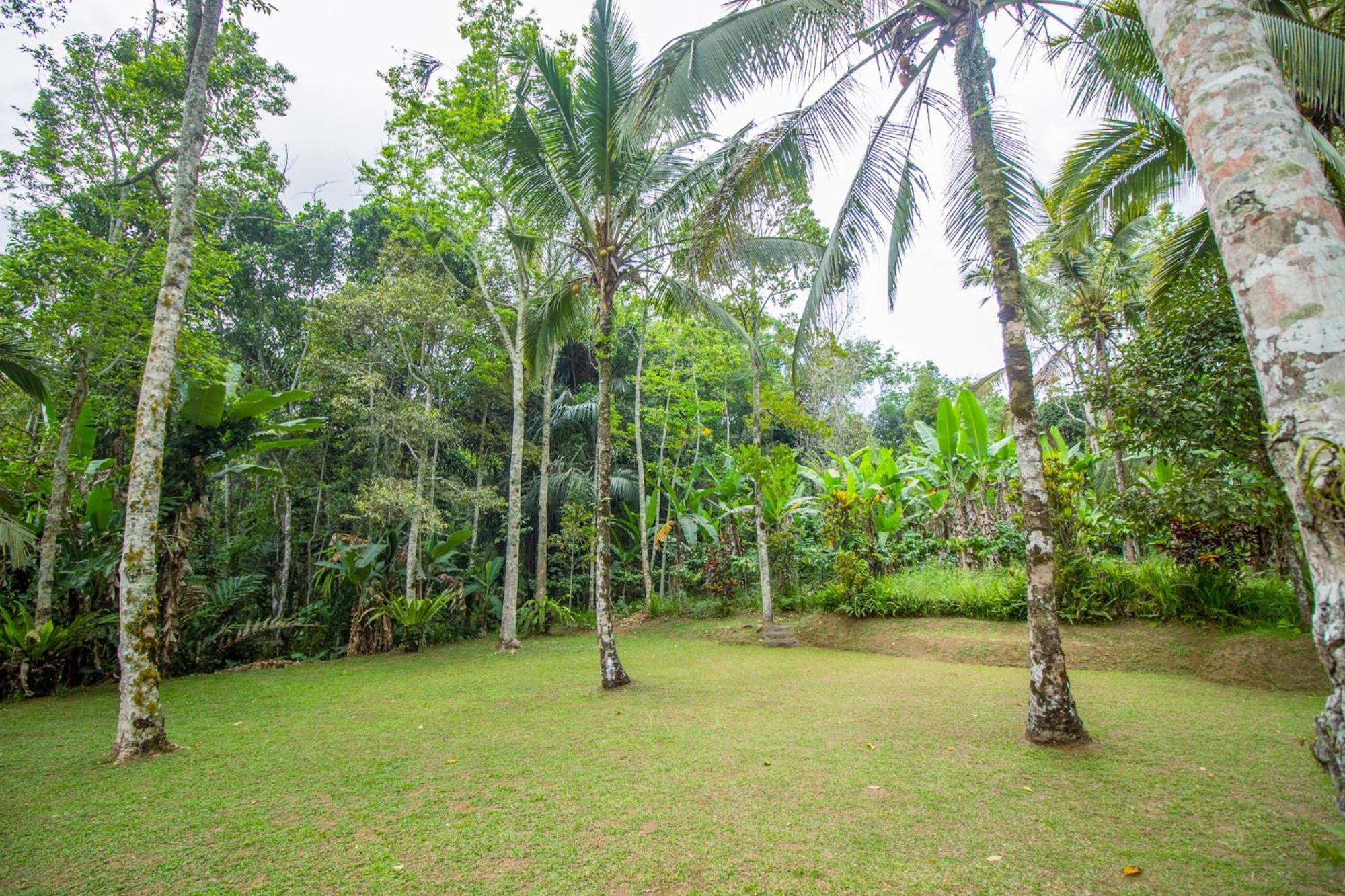 Pesona Bali Ecolodge By Agata Jatiluwih Esterno foto